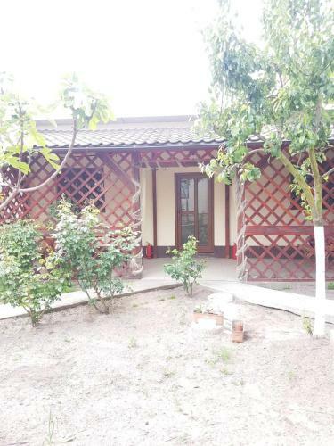 Hostal Casa Carter