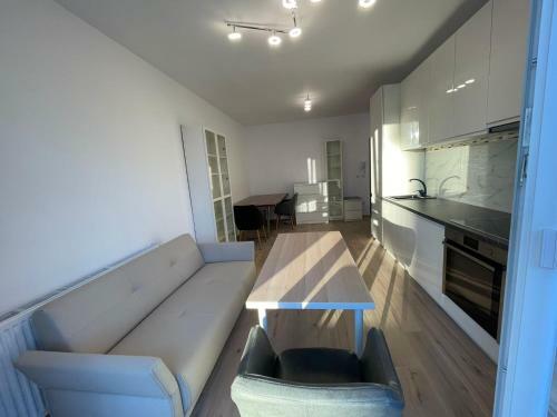 Apartamento Popescu Adrian