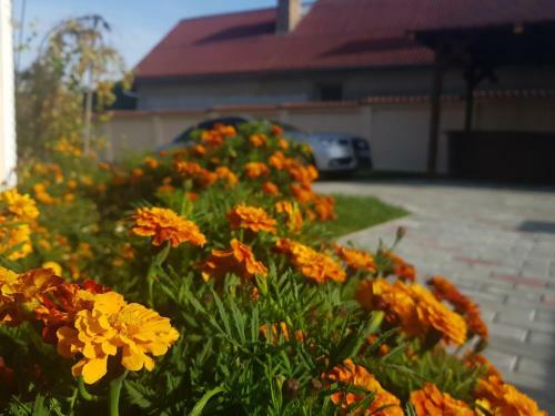 Hostal Pensiunea La Nucu