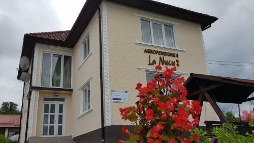 Hostal Pensiunea La Nucu
