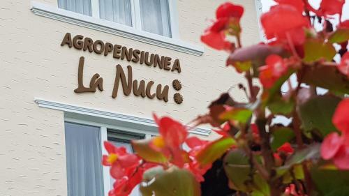 Hostal Pensiunea La Nucu
