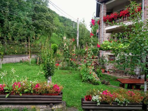 Hostal Pensiunea Bord�s Panzi�