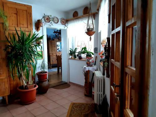 Hostal Pensiunea Bord�s Panzi�