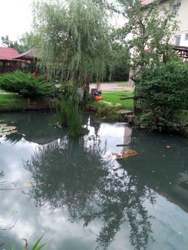 Hostal Pensiunea Bord�s Panzi�