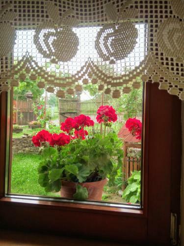 Hostal Pensiunea Bord�s Panzi�