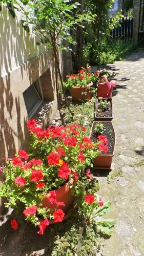 Casa Sibielul Vechi