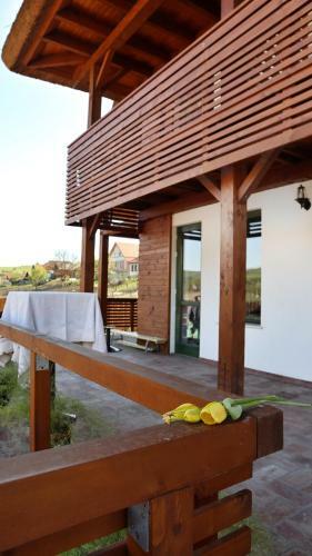 Hostal Pensiunea N�das Panzi�