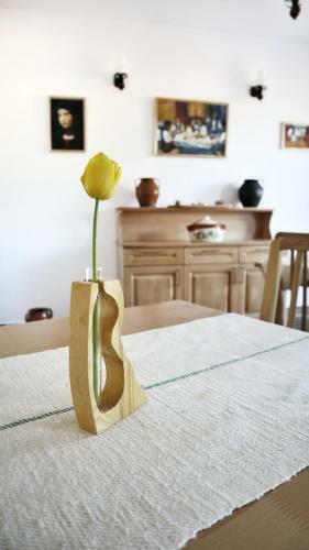 Hostal Pensiunea N�das Panzi�