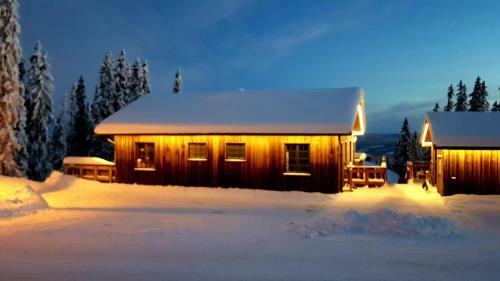 Lodge Fj�llhem