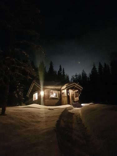 Lodge Liten Timmerstuga I S�len