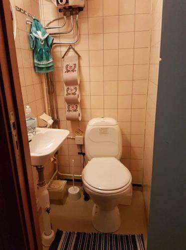 Lodge Liten Timmerstuga I S�len