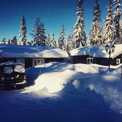 Lodge Giller�sv�gen 13 B
