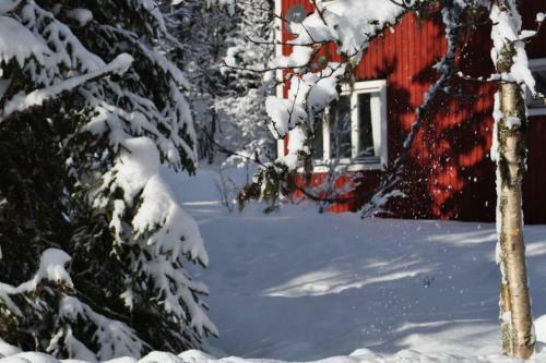 S�gen - Great Wildlife, No Neighbours, Large House