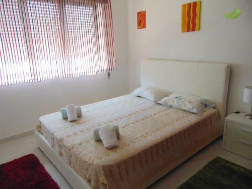 Exelente Apartamento Para F�rias