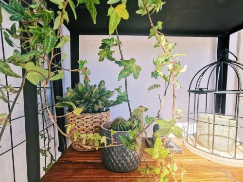 Apartamento Kintsugi House Lagos