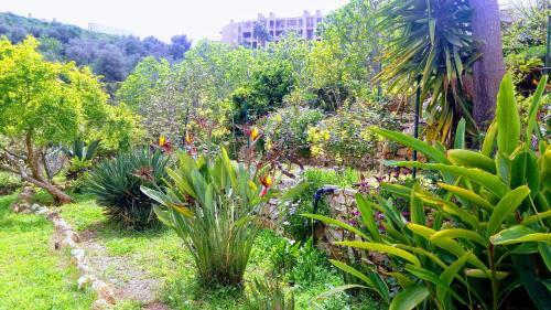 Apartamento Traquility At Villa Fonte Coberta