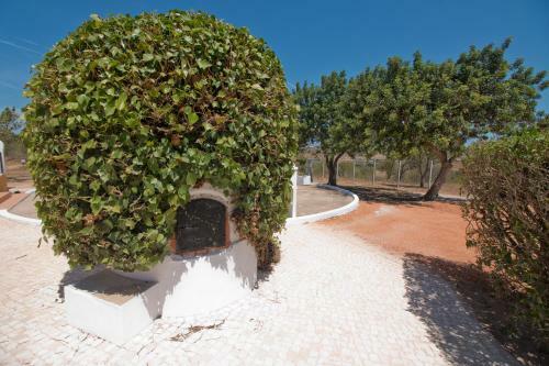 Hostal Casa Da Ladeira Branca