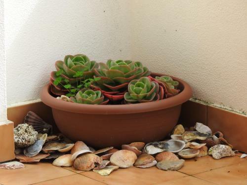Apartamento Lagos Love Bay