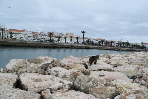 Apartamento Beachcity Guesthouse