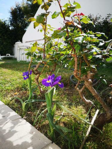 Hostal Nature Guesthouse
