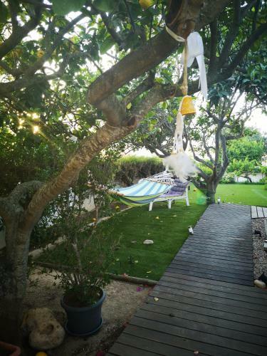 Hostal Nature Guesthouse