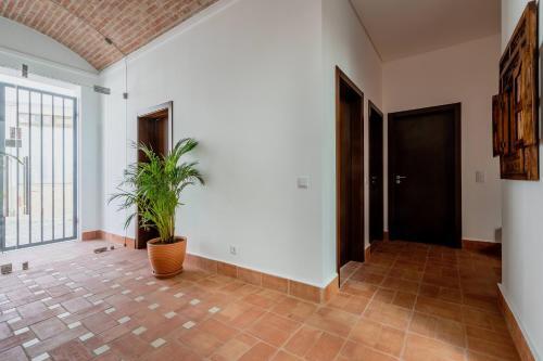 Bed & Breakfast Casa Creativa Lagos