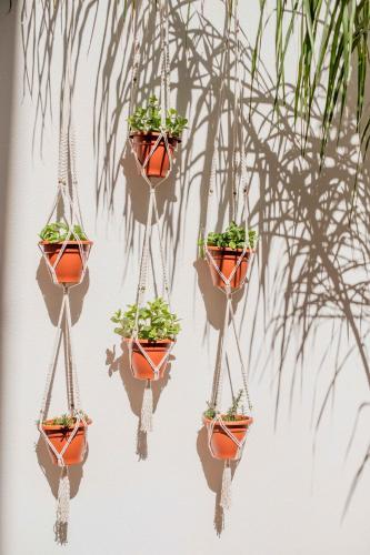 Bed & Breakfast Casa Creativa Lagos