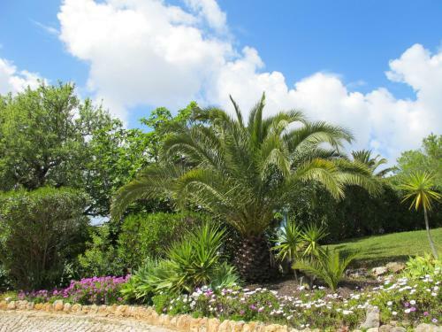 Apartamento Casa Beachcomber Le Jardin Des Arts