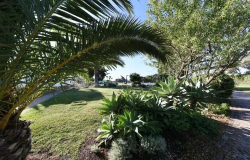 Apartamento Casa Beachcomber Le Jardin Des Arts