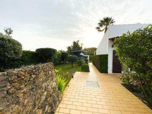 Quinta Das Oliveiras - Villa Com Piscina