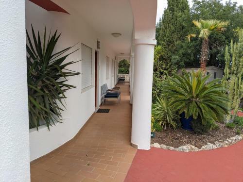 Casa Monte Cristo Apartments - Orange