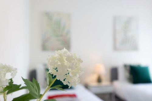 Henris Apartment