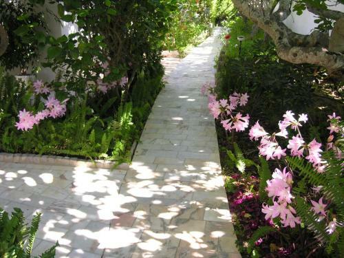 Apartamento Buganv�lea - Vivenda Johanna