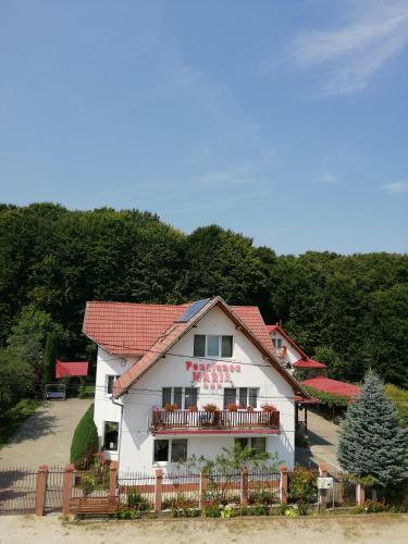 Hostal Pensiunea Maria