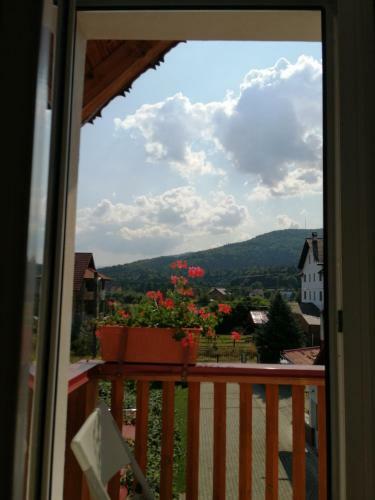 Hostal Pensiunea Maria