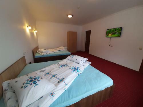 Hotel Pensiunea Montan Din Bran/simon , Spa Indoor.