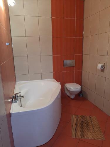 Hotel Pensiunea Montan Din Bran/simon , Spa Indoor.