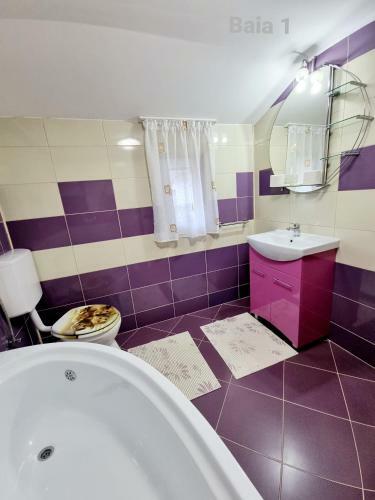Casa Andre Bran