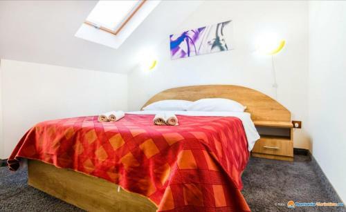 Hostal Pensiunea Colt De Rai