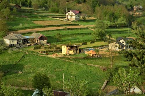 Popasul Verde