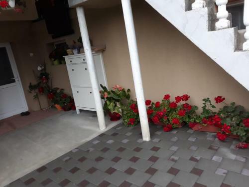 Bed & Breakfast Casa Sannicolau