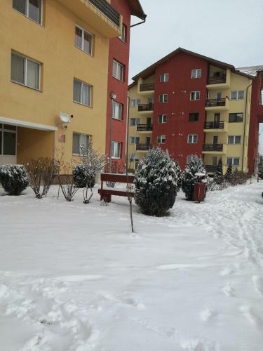 Apartamento Studio Dana