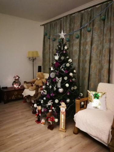Villa Sia & Sophie 's House