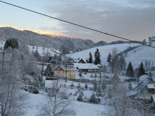 Montecrai
