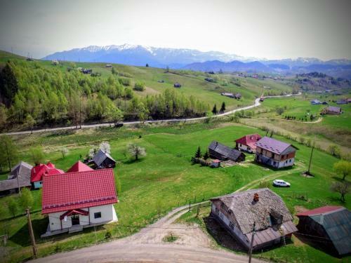 Montecrai