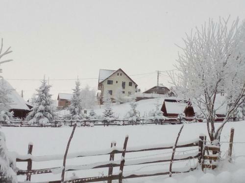Montecrai