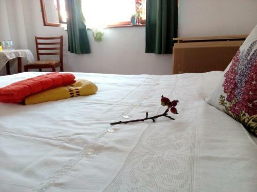 Grandpa's Room