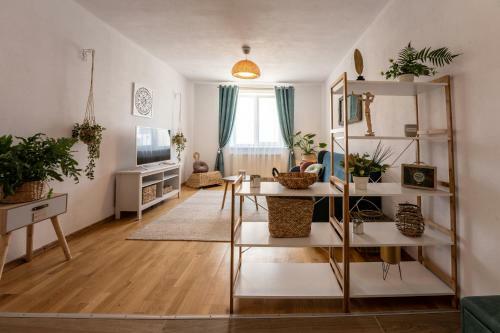 Daisy Apartment 11