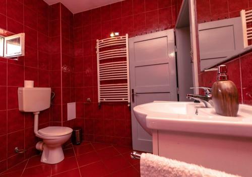 Hostal Casa Dalia Transilvania