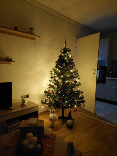 Apartament Ambrus